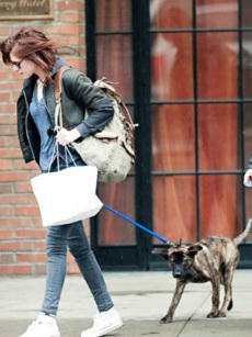 kristen stewart robert pattinson dog